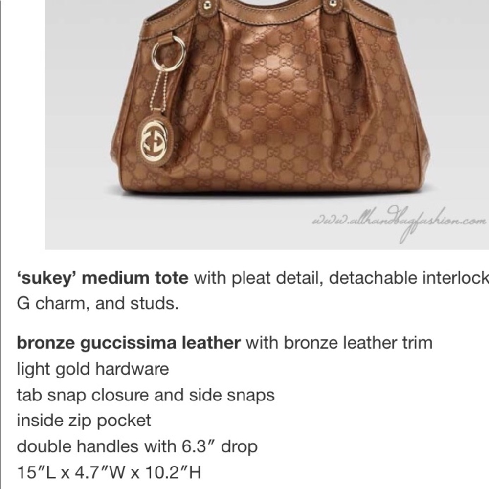 Additional photos of Bronze Gucci Bag